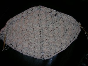 Forest Canopy Shawl